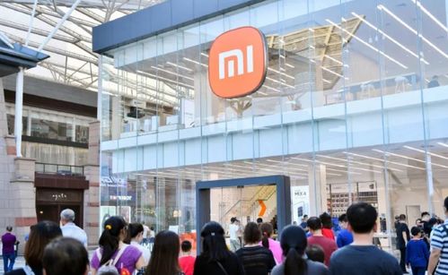 雷軍放話小米對(duì)標(biāo)蘋果 為何社會(huì)支持難以比肩華為？